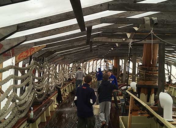 Boy Scout Troop 35 kicking off winter maintenance on Pride of Baltimore II on Nov., 3, 2018.
