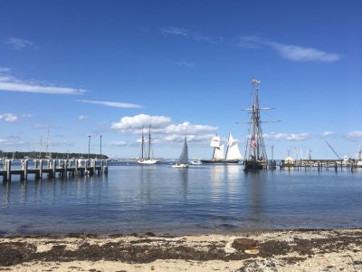 View of Vineyard Haven Harbor
