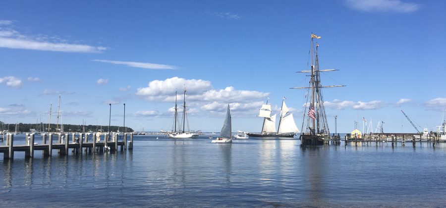View of Vineyard Haven Harbor