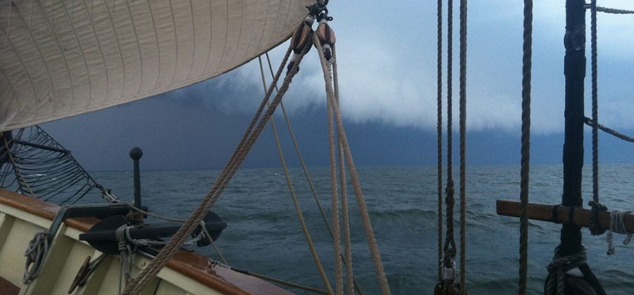 Squall on the Horizon, 2014