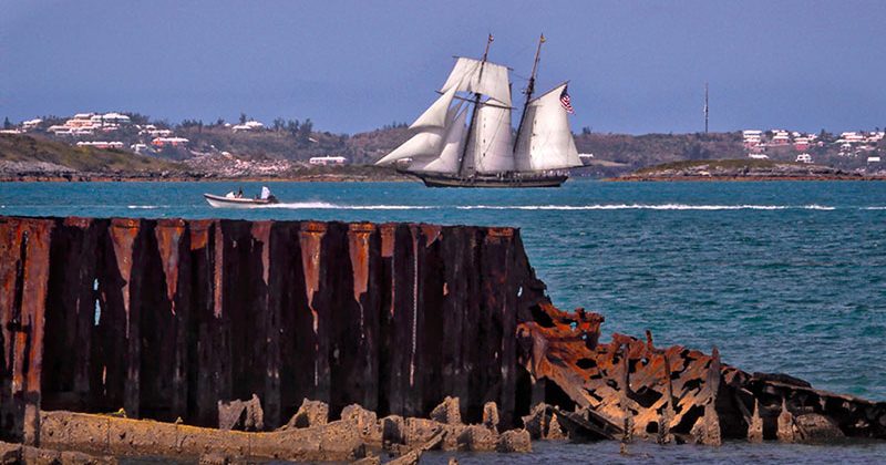 Pride of Baltimore II in Hamilton Harbor, Bermuda, June 1, 2017, courtesy of Theresa Airy
