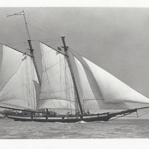 1977_Arrival in Bermuda_Credit Bob Erlandson