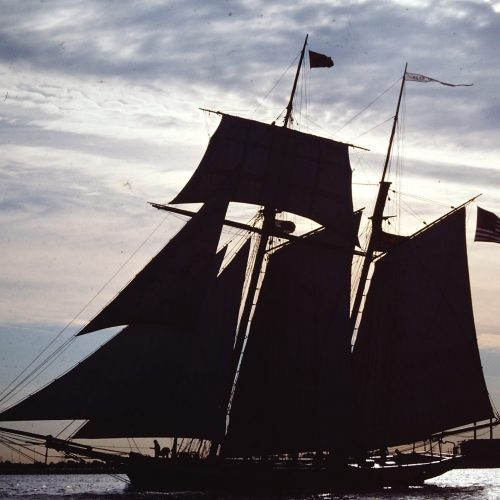 Pride sailing in Baltimore. Credit Dallas E Weigel