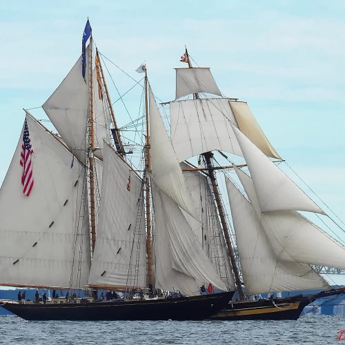 PRIDE II & VIRGINIA shortly before the start of the 2026 GCBSR. Courtesy of Tim Mangus.