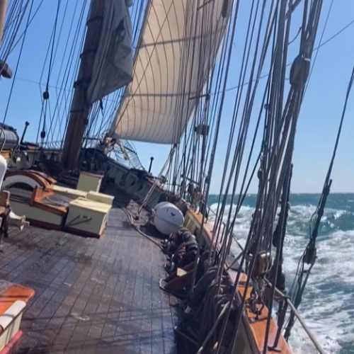 Offshore Sailing