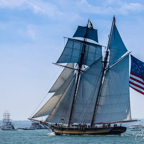 Sail Boston Parade of Sail, courtesy of Craig Linehan.
