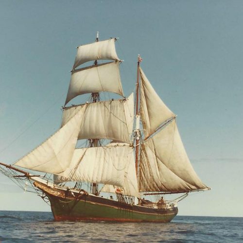 Brigantine Romance. Photo courtesy of Steve Hyman and the Brigantine Romance Facebook Group.