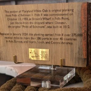 Plank photo for web